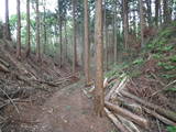 下野 金丸要害城の写真