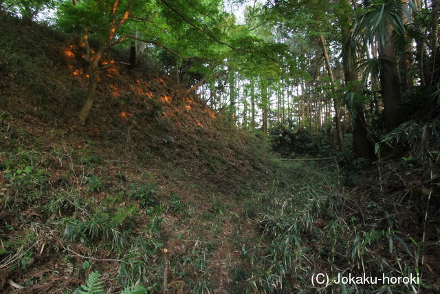 下野 鹿沼城の写真