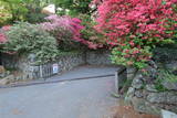 下野 唐沢山城の写真