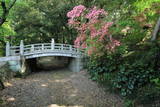 下野 唐沢山城の写真