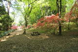 下野 唐沢山城の写真