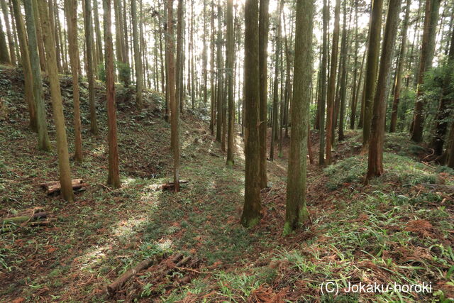 下野 烏山城の写真