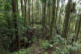 下野 烏山城の写真