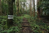 下野 烏山城の写真