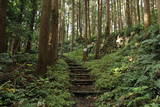 下野 烏山城の写真