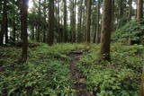 下野 烏山城の写真