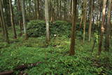 下野 烏山城の写真