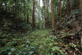 下野 烏山城の写真