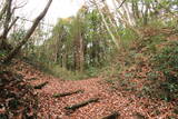 下野 烏山城の写真