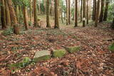 下野 烏山城の写真