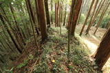 下野 烏山城の写真