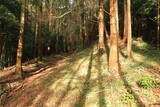 下野 烏山城の写真