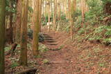 下野 烏山城の写真