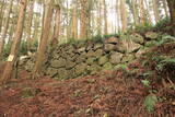 下野 烏山城の写真