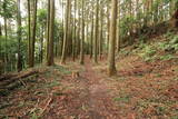 下野 烏山城の写真