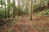 下野 烏山城の写真