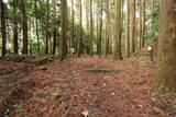 下野 烏山城の写真