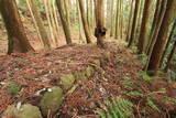 下野 烏山城の写真