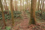 下野 烏山城の写真