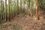 下野 烏山城の写真