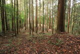 下野 烏山城の写真