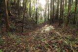 下野 烏山城の写真