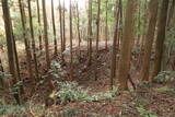 下野 烏山城の写真