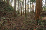 下野 烏山城の写真