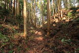 下野 烏山城の写真