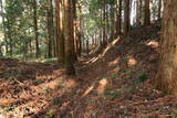 下野 烏山城の写真