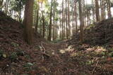 下野 烏山城の写真