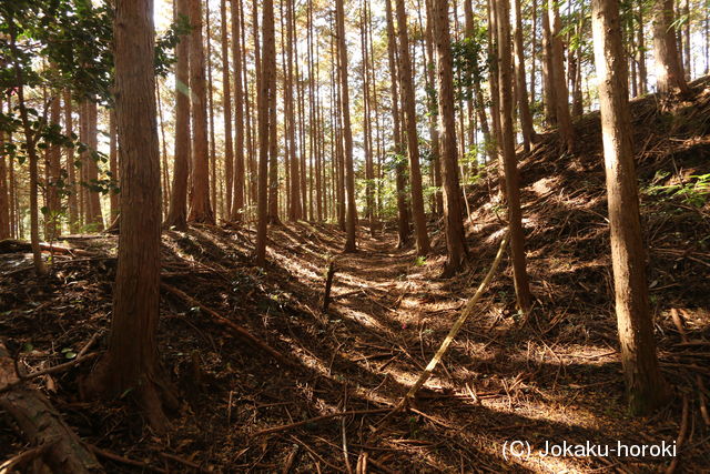 下野 粕尾城の写真