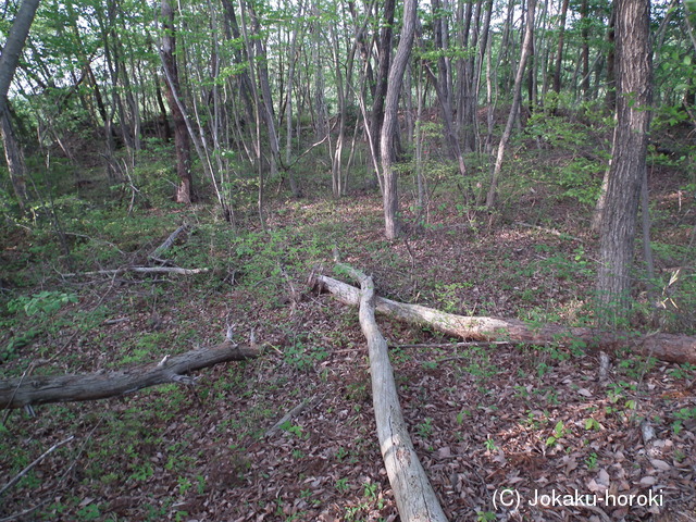 下野 亀山城の写真