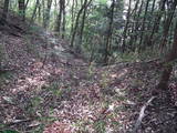 下野 亀山城の写真