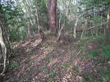 下野 亀山城の写真