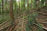 下野 片平城の写真