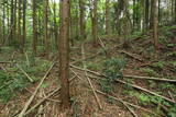 下野 片平城の写真