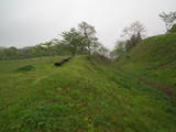 下野 川崎城の写真