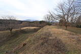 下野 川崎城の写真