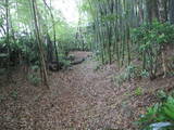 下野 川島氏居館の写真