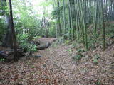 下野 川島氏居館の写真