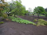 下野 川島氏居館の写真