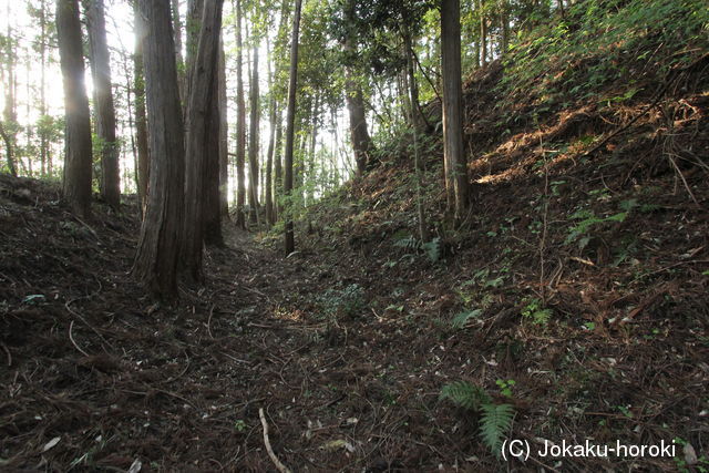 下野 加園城の写真