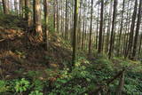 下野 加園城の写真