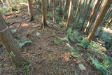 下野 加園城の写真