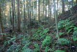 下野 加園城の写真