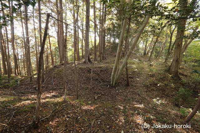 下野 小倉城の写真