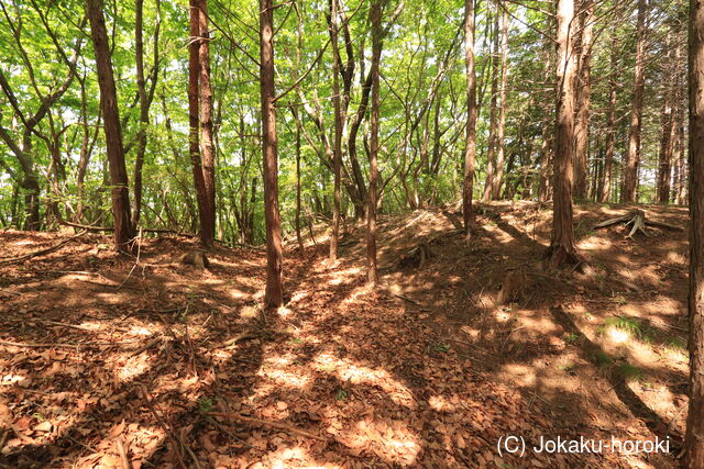 下野 駒戸山城の写真