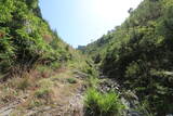 下野 駒戸山城の写真
