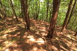 下野 駒戸山城の写真